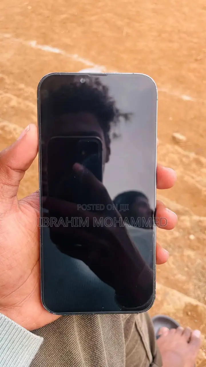 Apple iPhone 13 Pro Max 256 GB Green