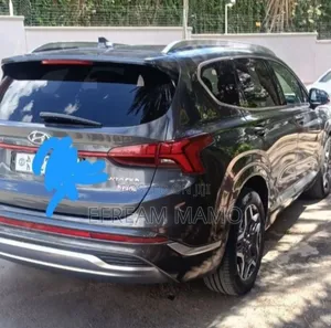Hyundai Santa Fe 2022 Gray
