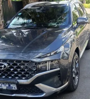 Hyundai Santa Fe 2022 Gray
