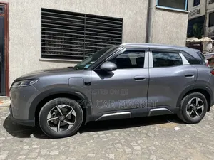 BYD Yuan Up 2025