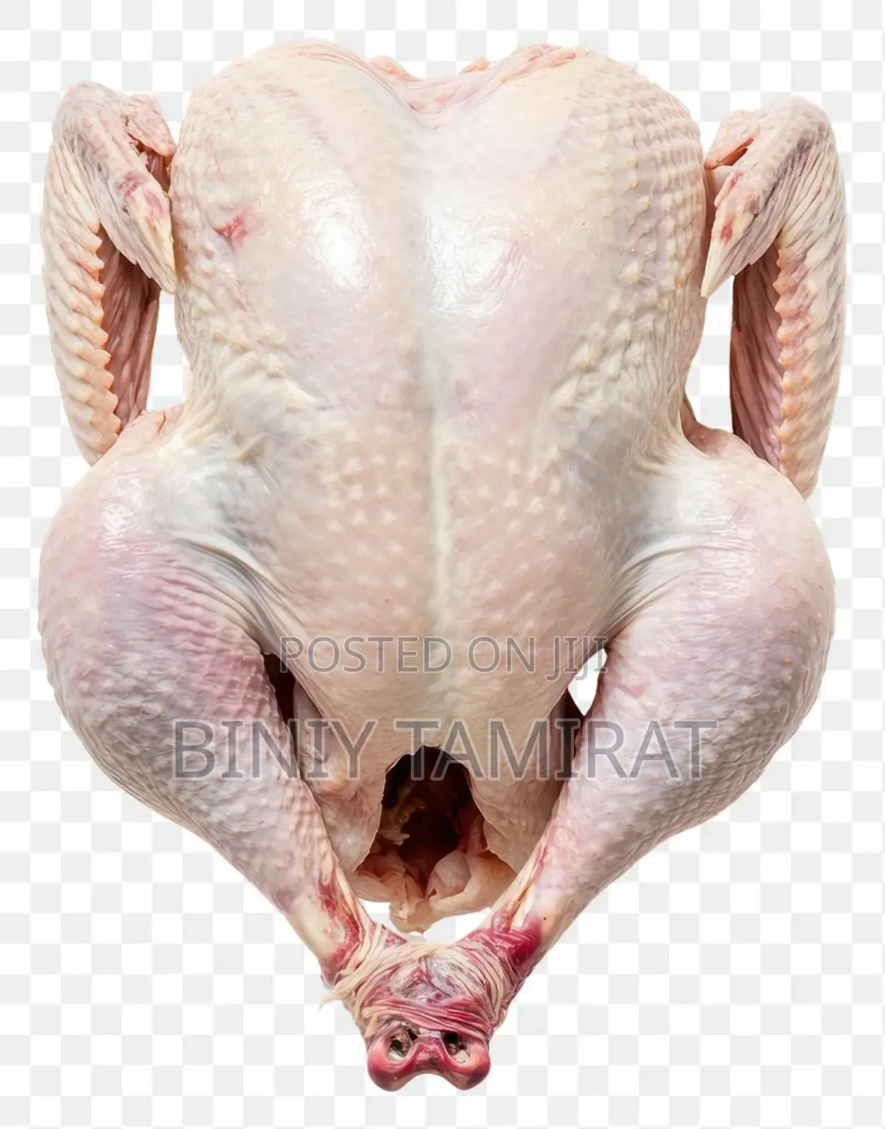 Chicken Meat