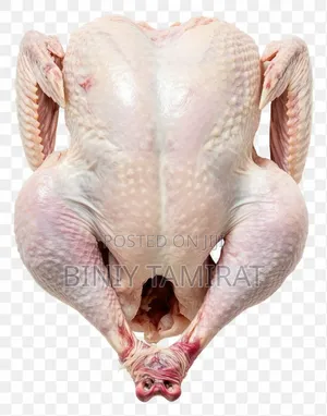 Chicken Meat