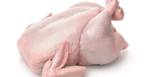 Chicken Meat