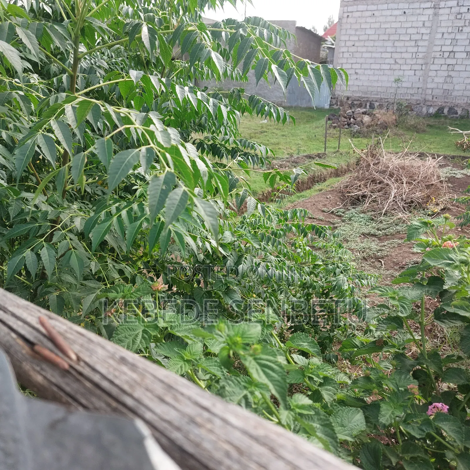 Land Plot for Sale