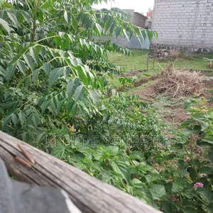 Land Plot for Sale