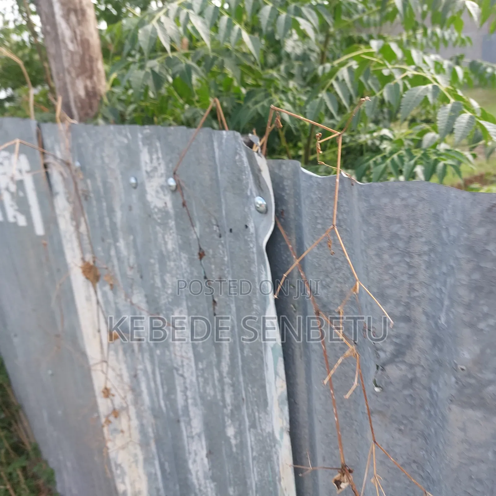 Land Plot for Sale