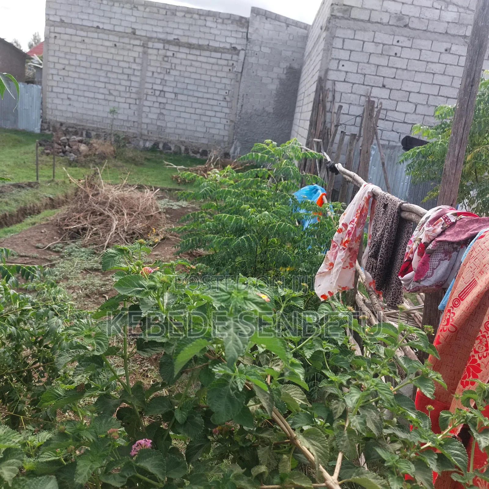 Land Plot for Sale