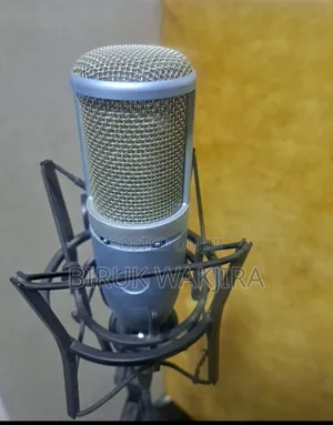 Akg 220 Studio Microphone