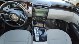 Hyundai Tucson Limited 2021 Silver