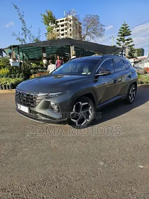 Hyundai Tucson Limited 2021 Silver