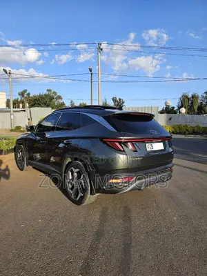 Hyundai Tucson Limited 2021 Silver