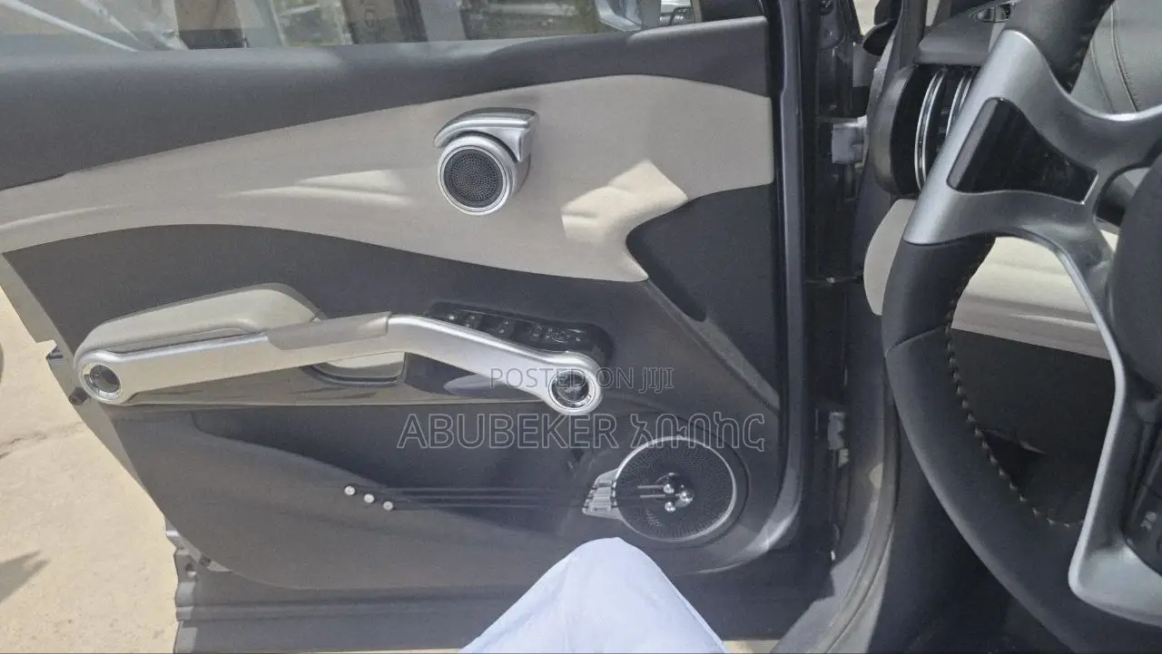 New BYD Yuan Plus 2025 Gray