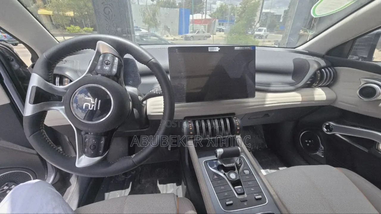 New BYD Yuan Plus 2025 Gray