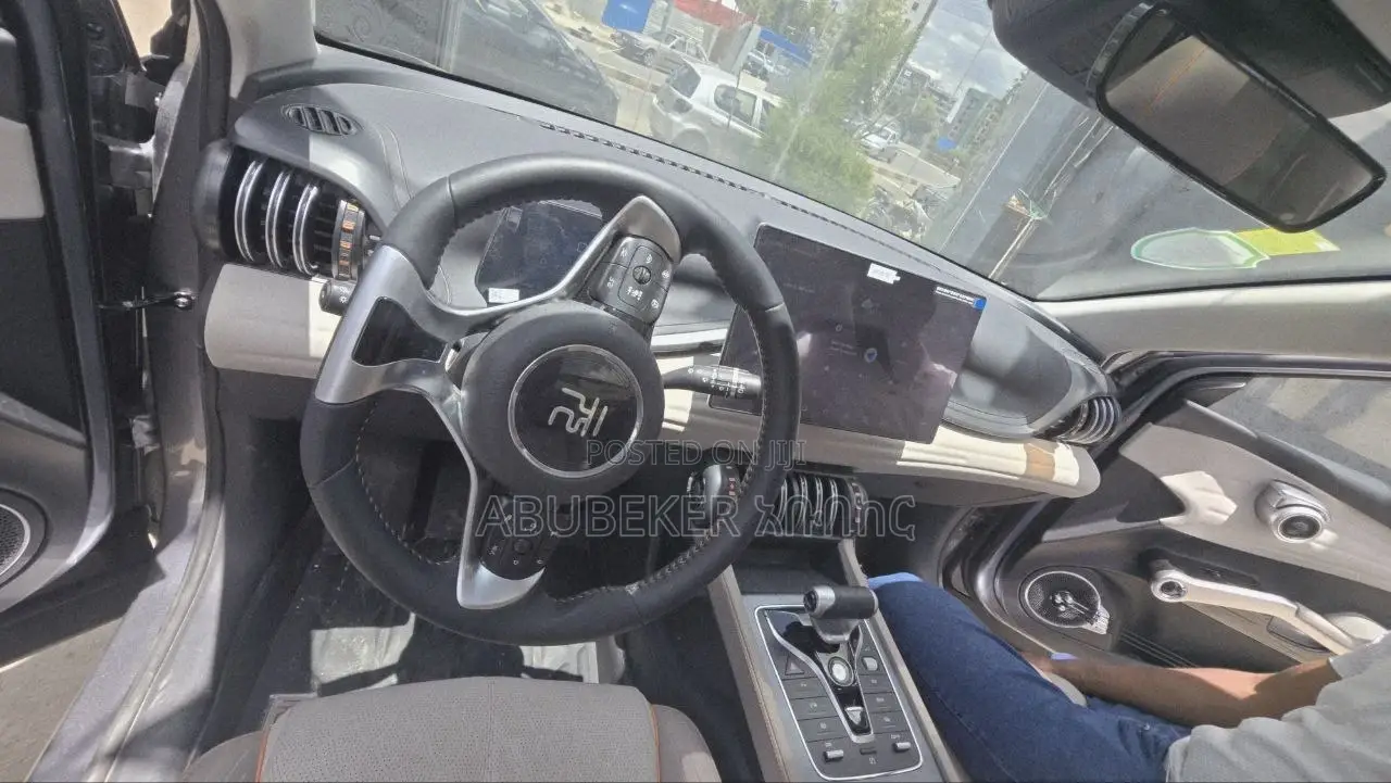 New BYD Yuan Plus 2025 Gray