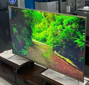 Lg Nano Cell 65 Inch Televishion