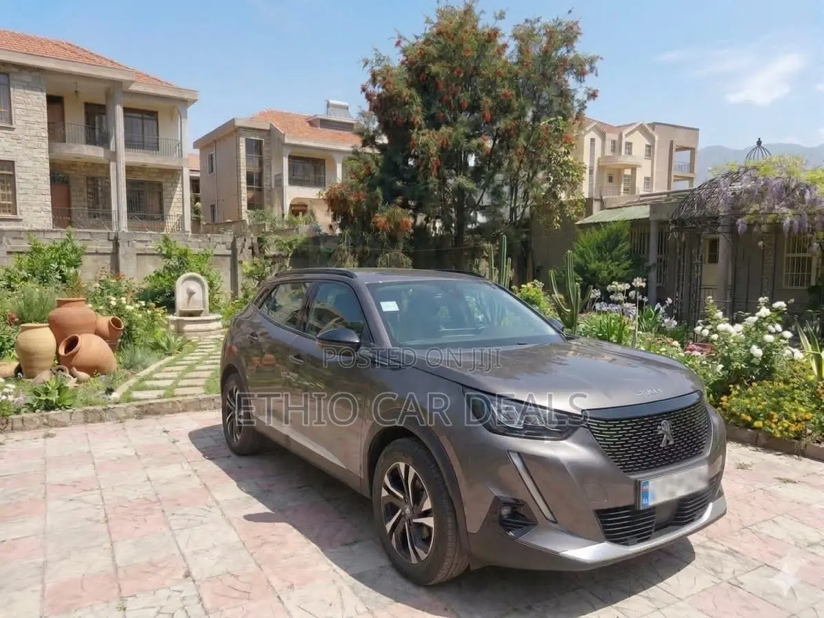 Peugeot 2008 2022 Gray