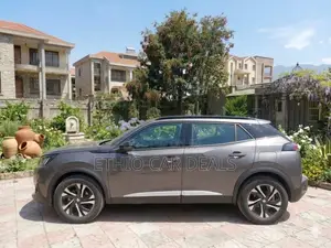 Peugeot 2008 2022 Gray
