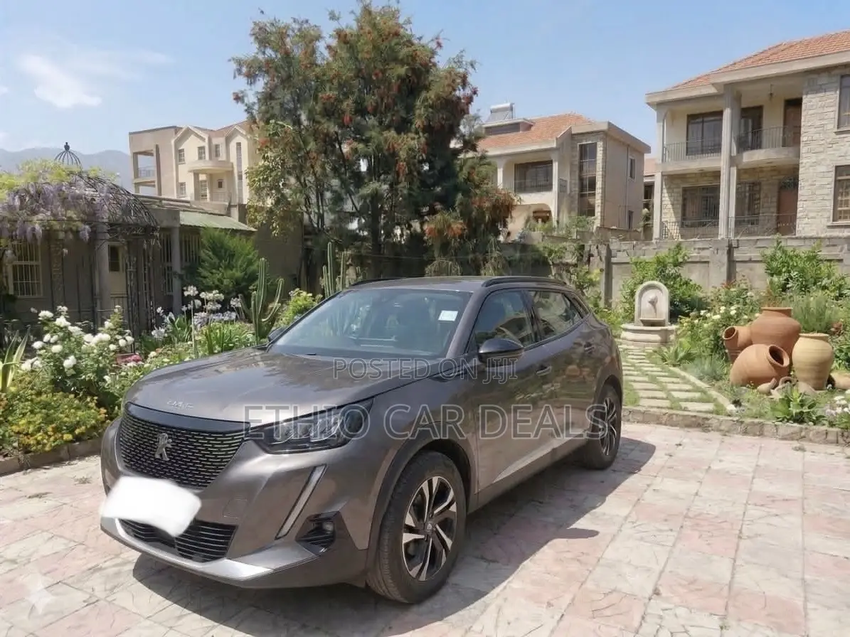 Peugeot 2008 2022 Gray