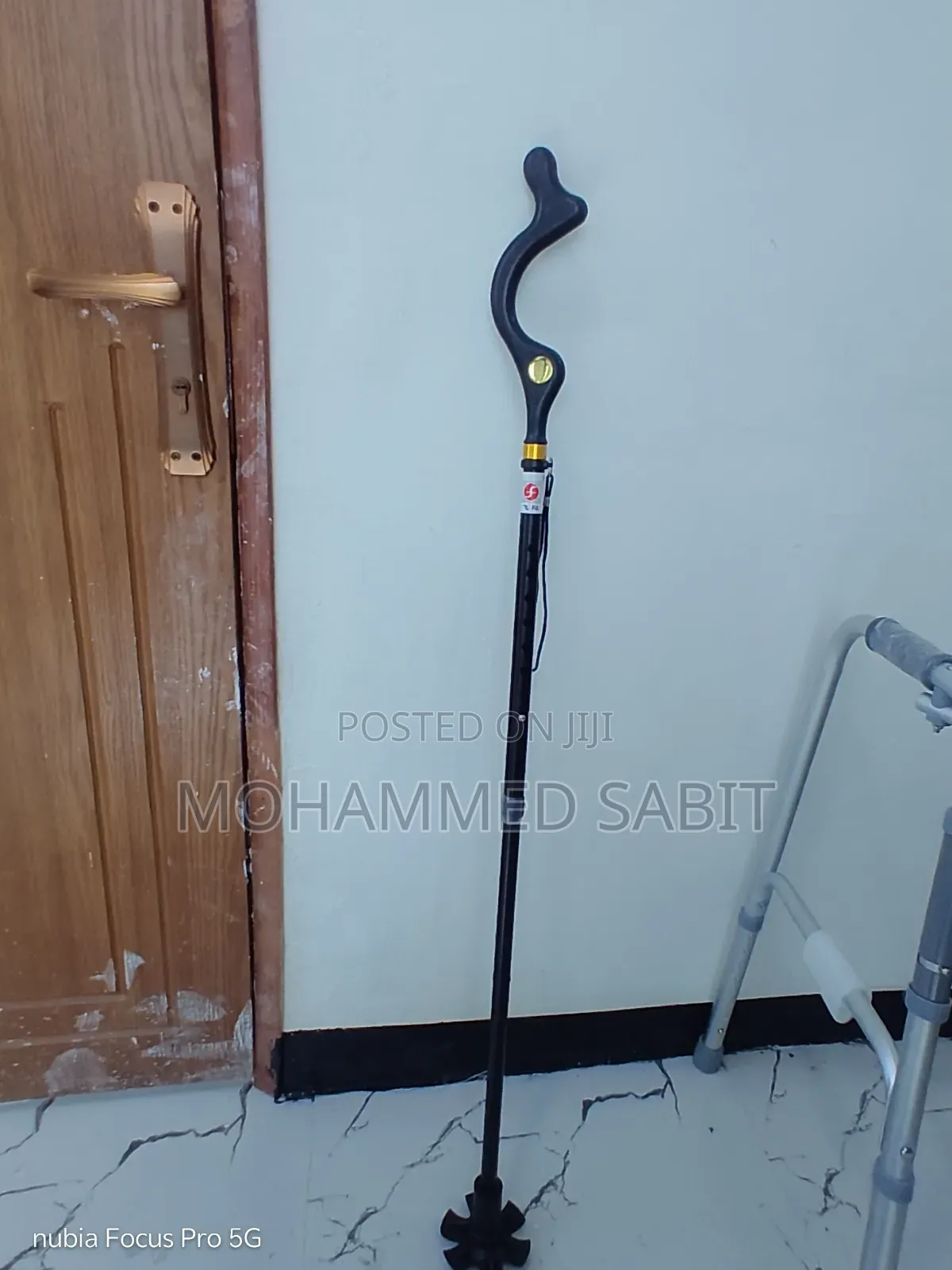 Walking Stick