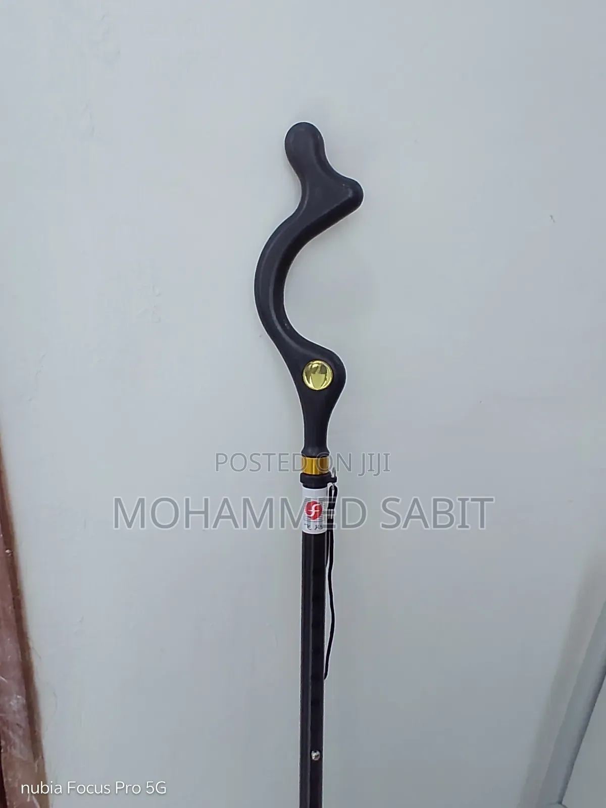 Walking Stick