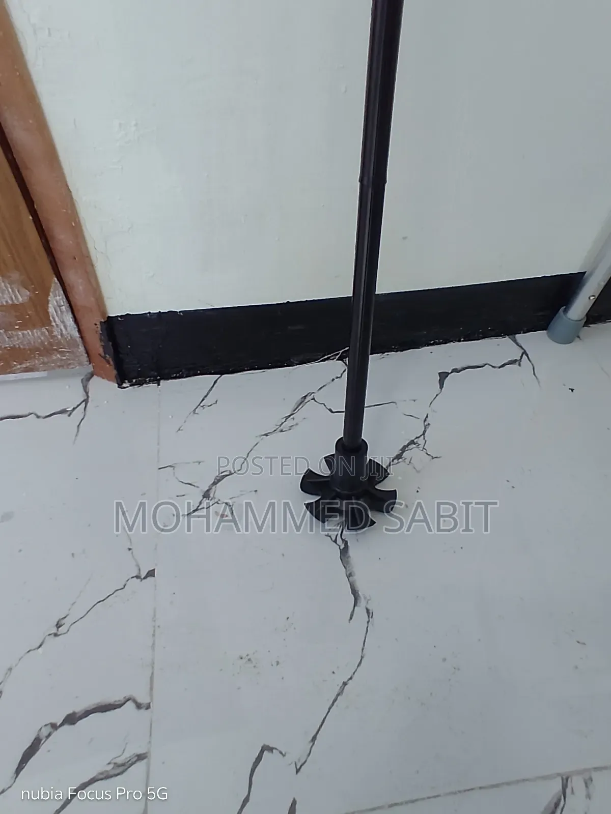 Walking Stick