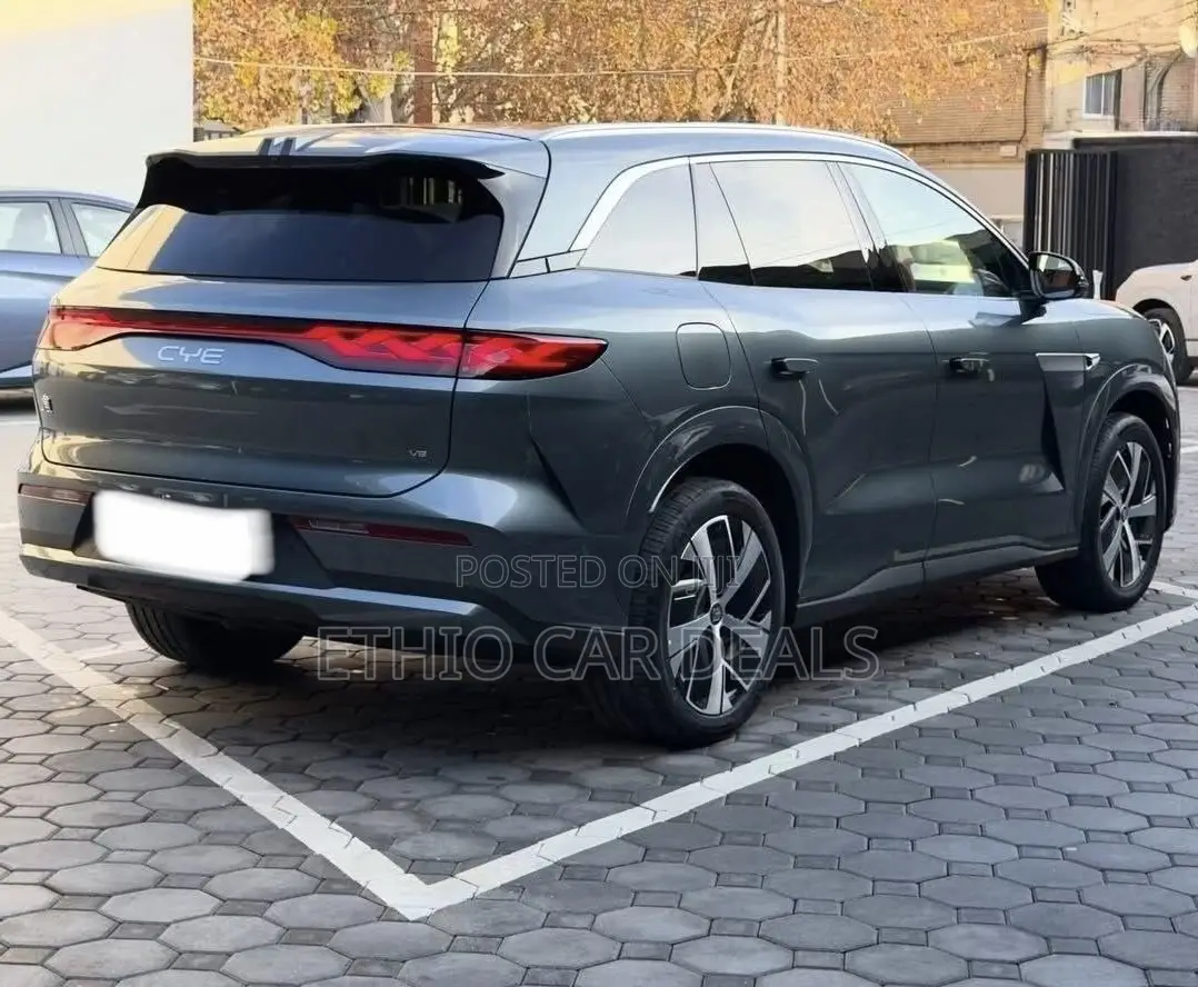 BYD Tang DM-i 2025 Green