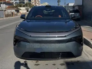 BYD Tang DM-i 2025 Green