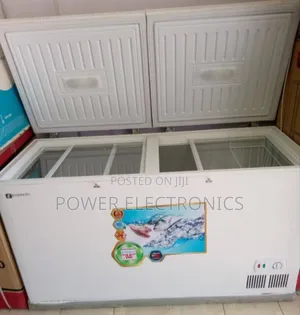 Everest 470l Dip Rifrigerator