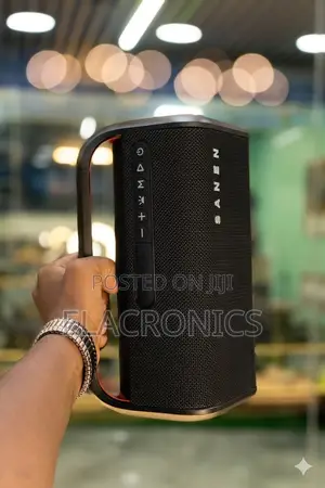 Sanen Sa200a 40w Outdoor/Indoor Wireless Speaker