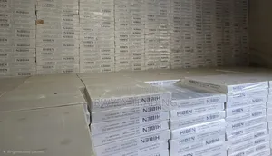 Laminated Gybsum Ceiling(imported)