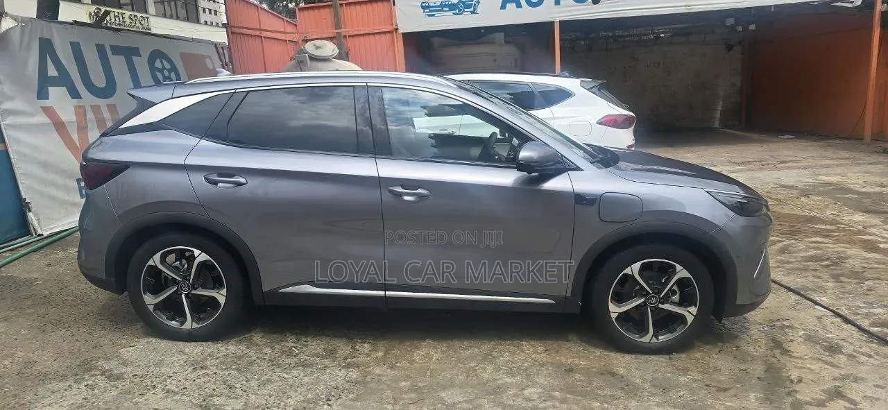 BYD Yuan Plus 2025 Gray