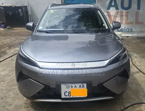 BYD Yuan Plus 2025 Gray