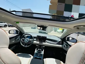 BYD Yuan Plus 2025 Gray