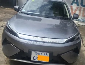 BYD Yuan Plus 2025 Gray