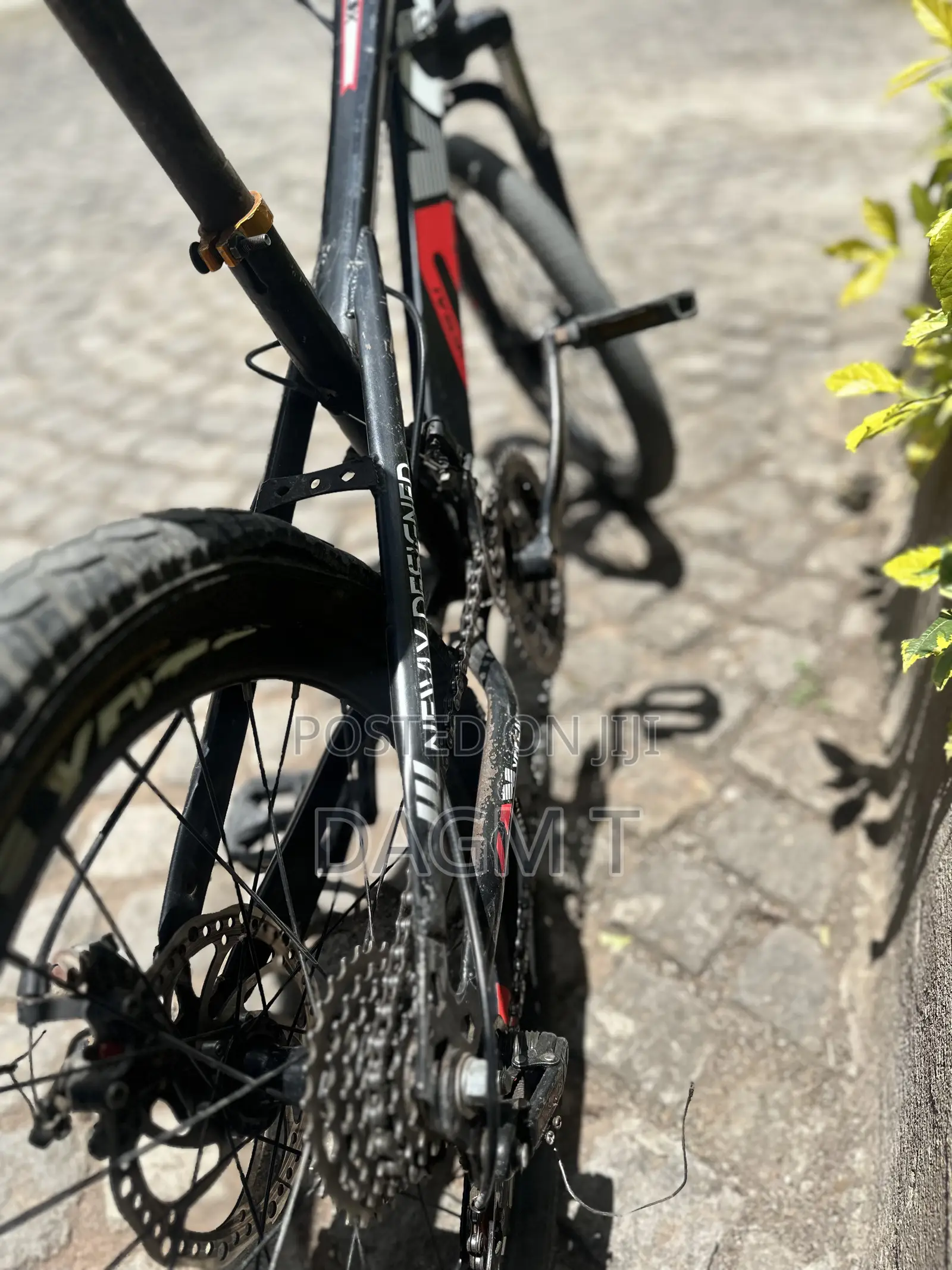 “Xdsai” Bike 20'