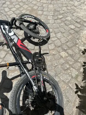 “Xdsai” Bike 20'
