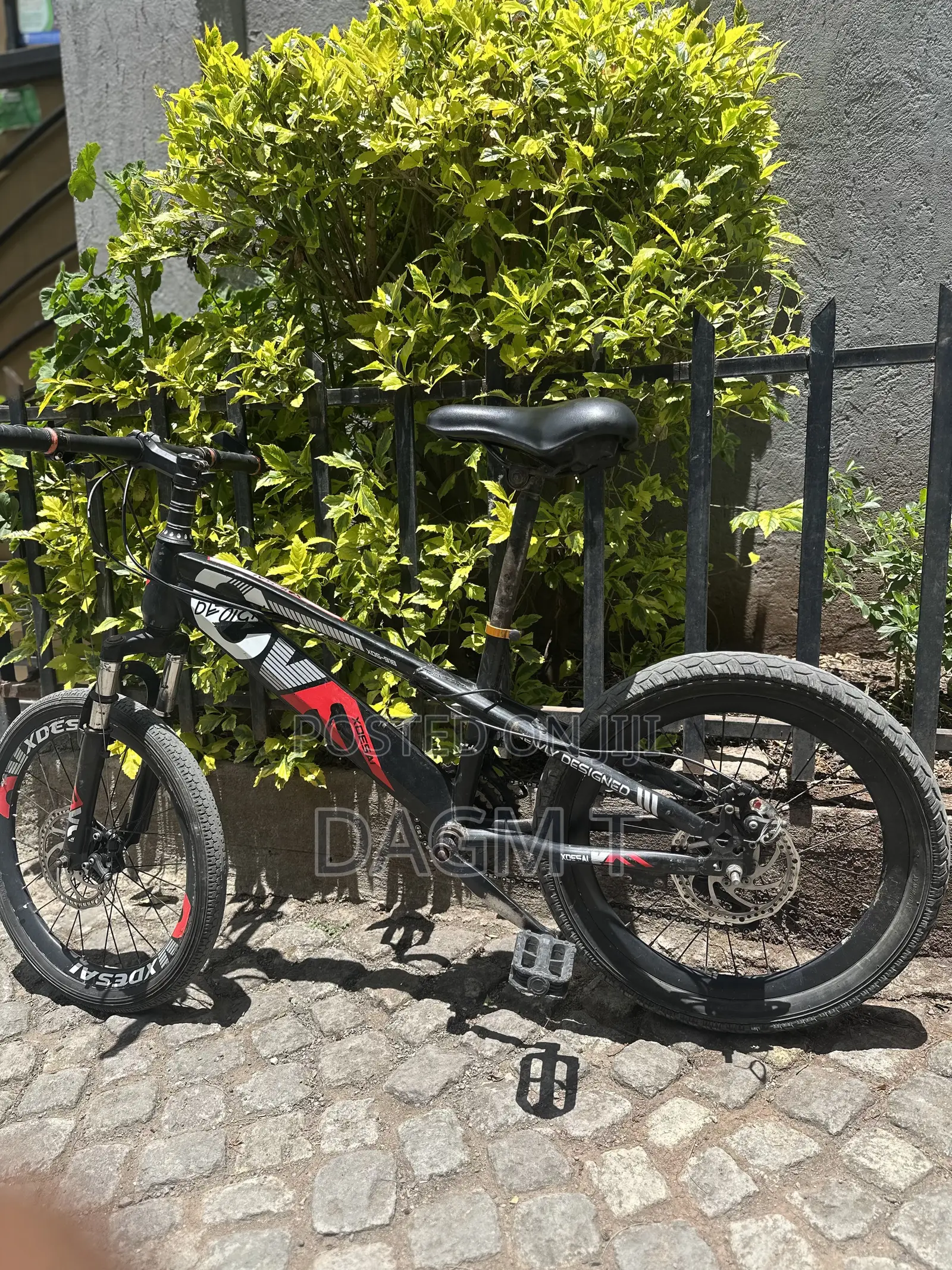 “Xdsai” Bike 20'