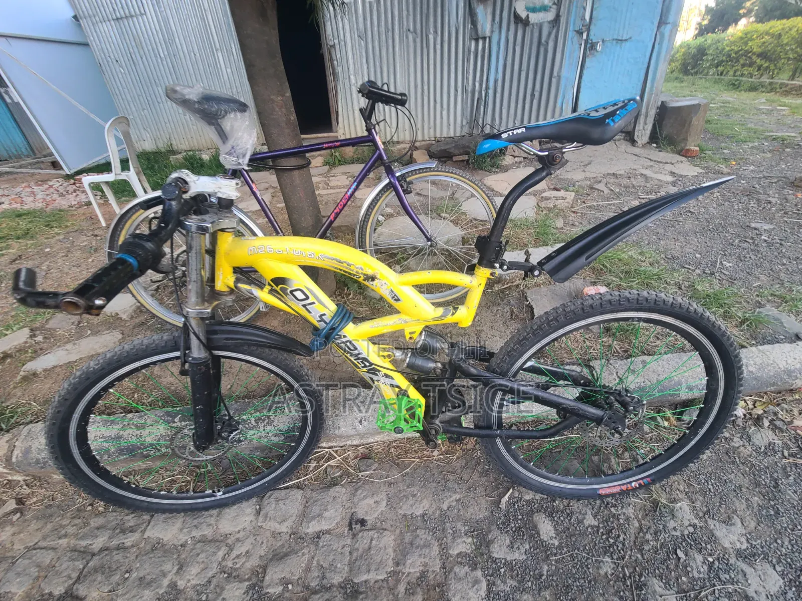 Bicycle Usa