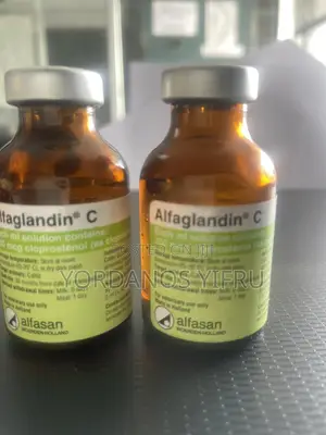 Hormone Prostaglandin