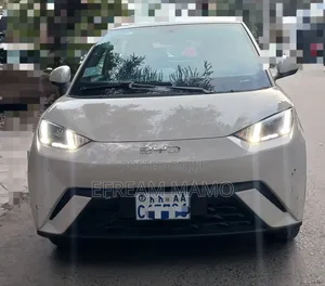 BYD Seagull 2024
