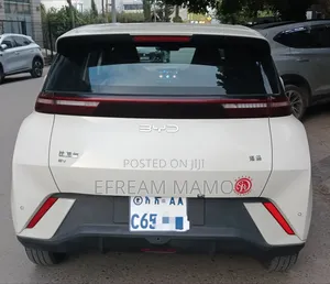 BYD Seagull 2024