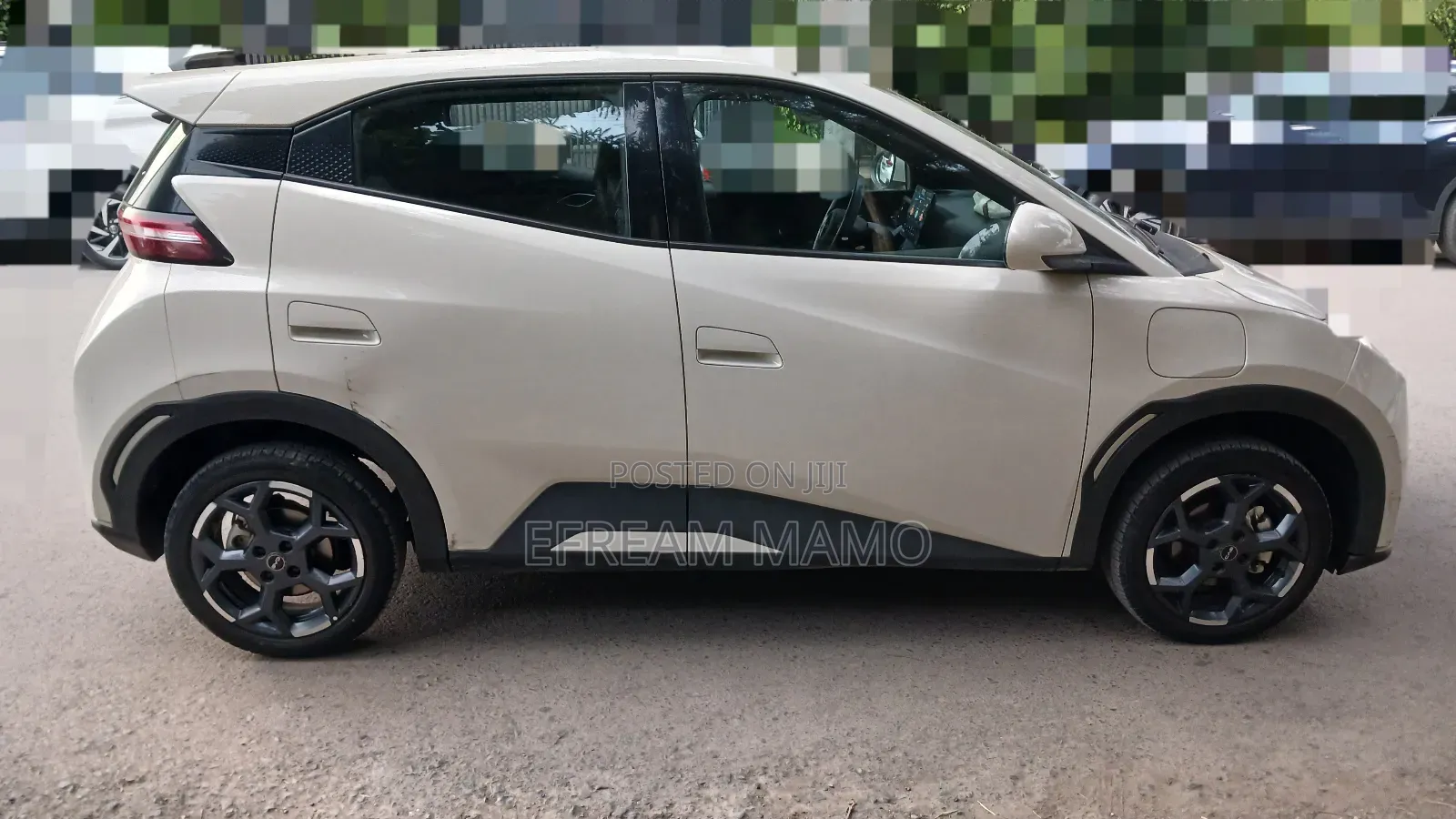 BYD Seagull 2024