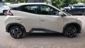 BYD Seagull 2024