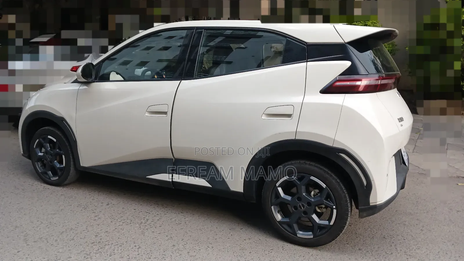 BYD Seagull 2024