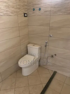 Furnished 20bdrm Apartment in Akaky Kaliti for sale