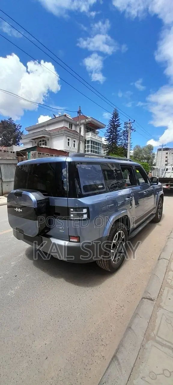 New BYD Leopard 7 2025 Blue