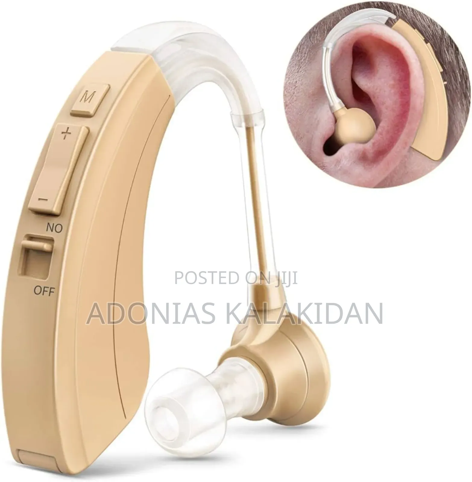 Hearing Aid
