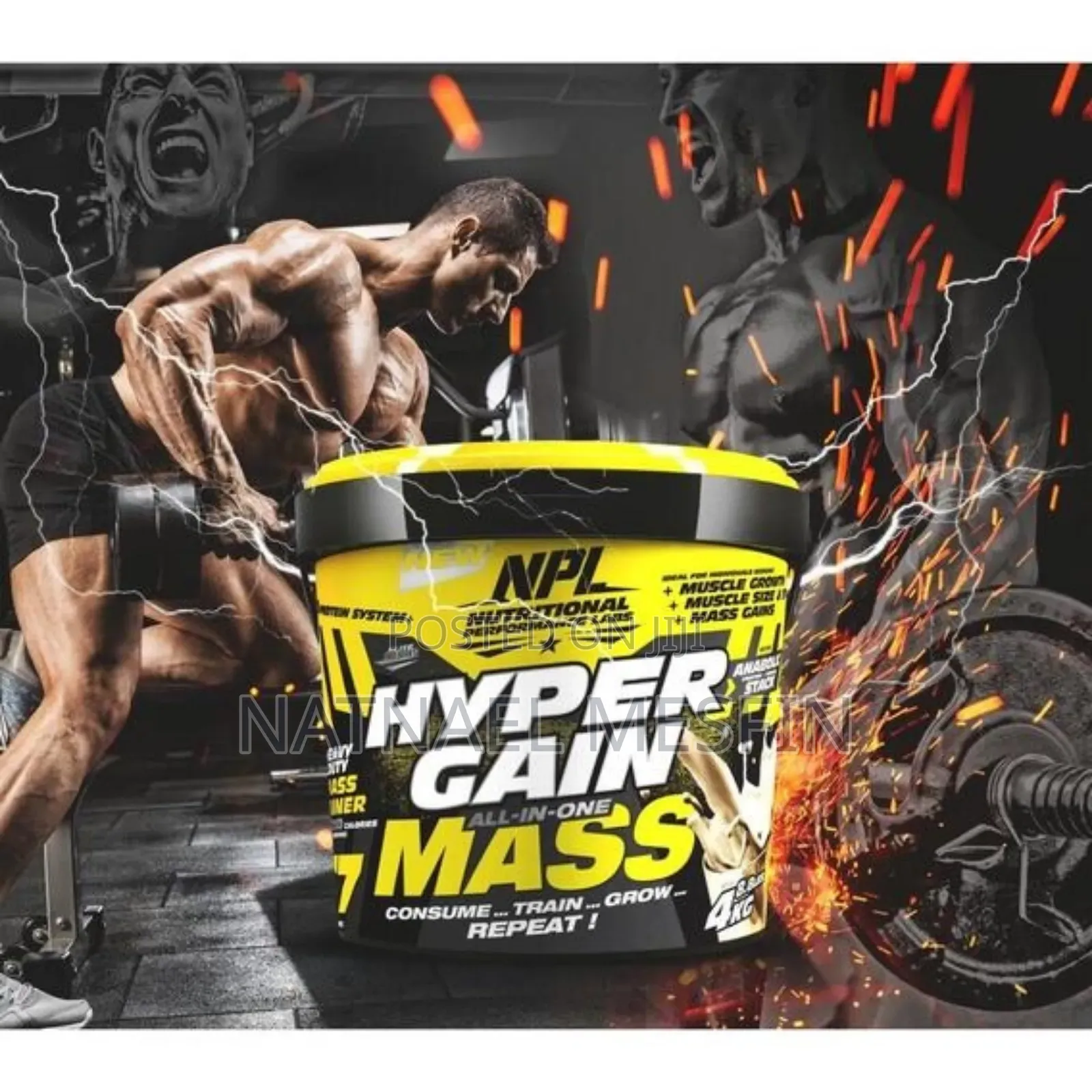 Mass Gainer