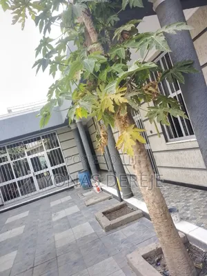 Furnished 6bdrm House in ዱከም/ቢሾፍቱ/ደብረዘይት, East Shewa for sale
