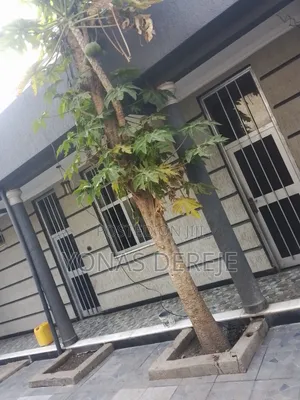 Furnished 6bdrm House in ዱከም/ቢሾፍቱ/ደብረዘይት, East Shewa for sale